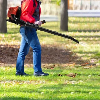 2025’s Best-Selling Backpack Leaf Blowers and What Makes Them Great